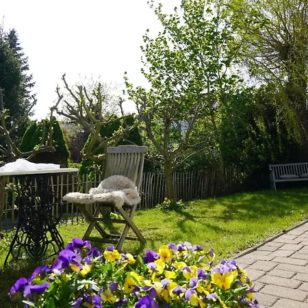 Mit Gartenbereich *
